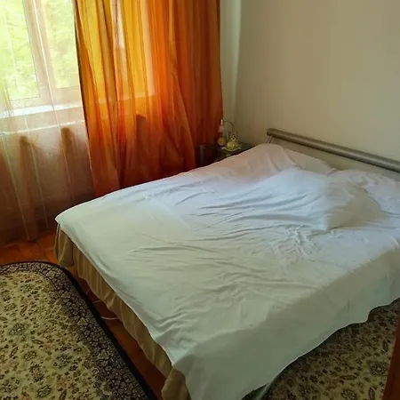 Apartament 2 - Brotacei